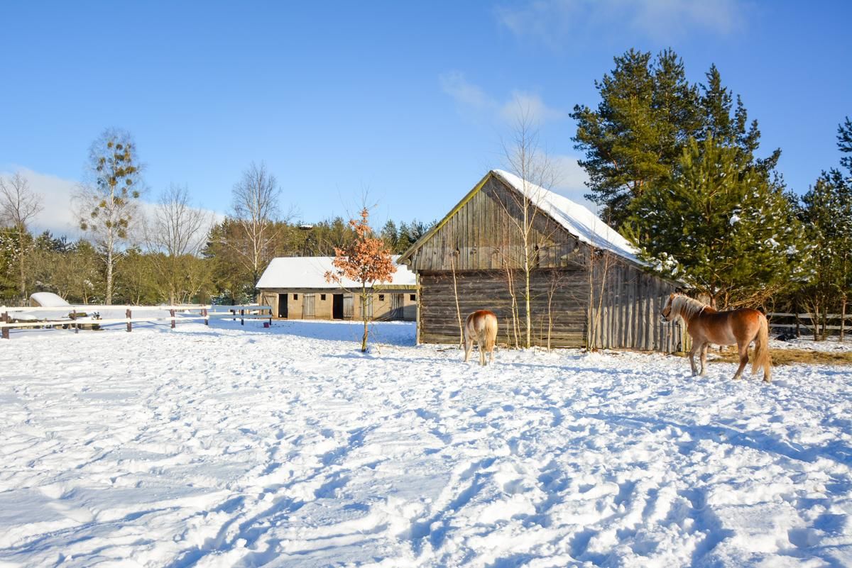 Фермерские дома Agroturystyka Żubr Семянувка-22